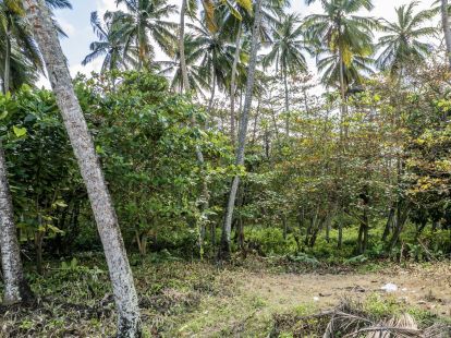 Участок в Кабарете, Доминиканская республика, 1 655м2 - стоимость 359 000$ - Ref: 41973 фото 8