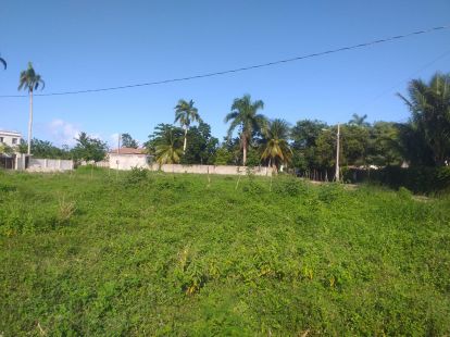 Участок в Кабарете, Доминиканская республика, 1 197м2 - стоимость 102 000$ - Ref: 42187 фото 2