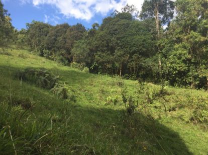 Участок в Харабакоа, Доминиканская республика за 1 890 000$ (ID:42395)