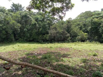 Участок в Харабакоа, Доминиканская республика, 2 300 000м2 - стоимость 1 890 000$ - Ref: 42395 фото 2