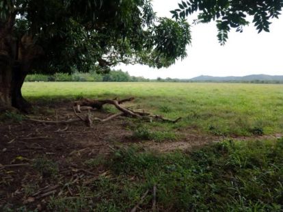 Участок в Харабакоа, Доминиканская республика, 2 300 000м2 - стоимость 1 890 000$ - Ref: 42395 фото 3