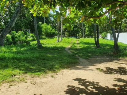 Участок в Кабарете, Доминиканская республика, 3 057м2 - стоимость 765 000$ - Ref: 42539 фото 3