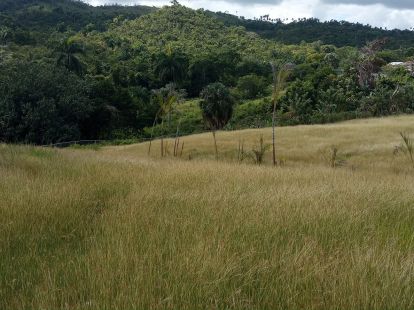 Участок в Сосуа, Доминиканская республика за 315 000$ (ID:42641)