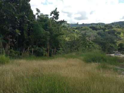 Участок в Сосуа, Доминиканская республика, 9 000м2 - стоимость 315 000$ - Ref: 42641 фото 2