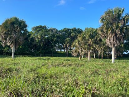 Участок в Кабарете, Доминиканская республика, 9 080м2 - стоимость 3 000 000$ - Ref: 42673 фото 3