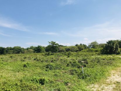 Участок в Кабарете, Доминиканская республика, 1 000м2 - стоимость 127 500$ - Ref: 42697 фото 2