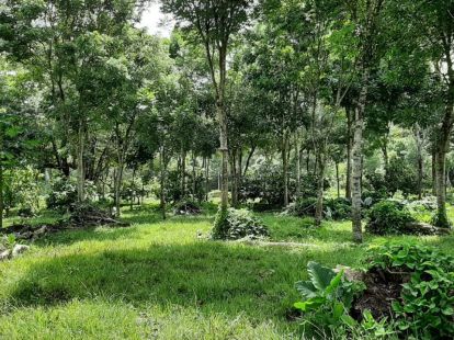 Участок в Кабарете, Доминиканская республика, 536 924м2 - стоимость 467 000$ - Ref: 44645 фото 12