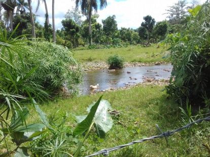 Участок в Кабарете, Доминиканская республика, 536 924м2 - стоимость 467 000$ - Ref: 44645 фото 13