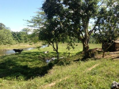 Участок в Кабарете, Доминиканская республика, 536 924м2 - стоимость 467 000$ - Ref: 44645 фото 14