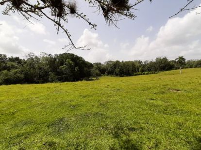 Участок в Кабарете, Доминиканская республика, 536 924м2 - стоимость 467 000$ - Ref: 44645 фото 5