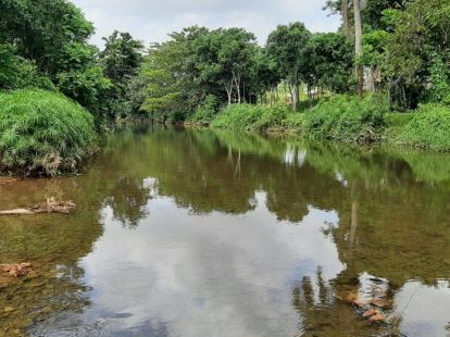 Участок в Кабарете, Доминиканская республика, 536 924м2 - стоимость 467 000$ - Ref: 44645 фото 7