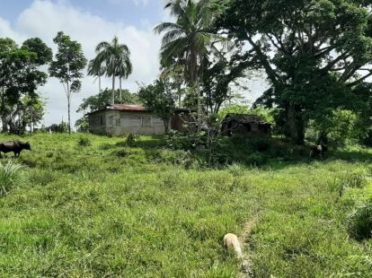 Участок в Кабарете, Доминиканская республика, 536 924м2 - стоимость 467 000$ - Ref: 44645 фото 8