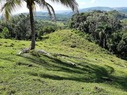 Участок в Кабарете, Доминиканская республика, 536 924м2 - стоимость 467 000$ - Ref: 44645 фото 9