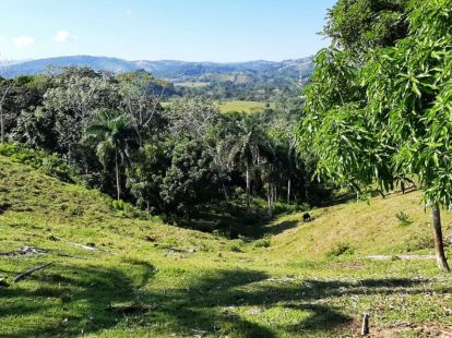 Участок в Кабарете, Доминиканская республика за 467 000$ (ID:44645)