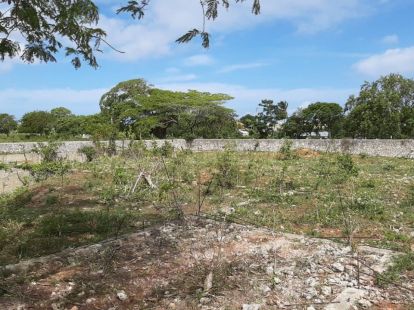 Участок в Кабарете, Доминиканская республика, 4 849м2 - стоимость 280 000$ - Ref: 44648 фото 9