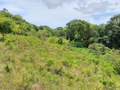Land in Sosua, Dominican Republic, 45 000m2 - for 1&nbsp;000&nbsp;000$ - Ref: 45787 photo 2