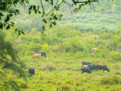 Land in Sosua, Dominican Republic for 1 000 000$ (ID:45787)