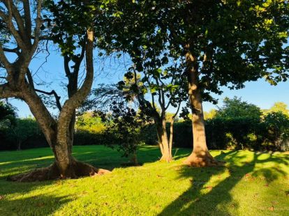 Apartments in Cabarete, Dominican Republic, 90m2 - for 235&nbsp;000$ - Ref: 46043 photo 2